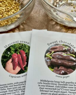 Op verse pepers is het nog enkele maanden wachten 🌶️ De zaadjes kiemen nu op een lekker warm plekje in de keukenberging, waar ook nog wat serre-oogst van vorig seizoen hangt te bengelen.

We zaaiden hun nakomelingen, maar ook enkele nieuwe soorten die we bij stadsgenoot @kwekerijkweek haalden. Benieuwd!

[ #dakakker #dakmoestuin #groendak #retentiedak #moestuin #zelfvoorzienend #stadslandbouw #cohousing #samentelen #serre #serreophetdak #kooplokaal #biologischezaden #kiemen #paprika #chilipeper ]