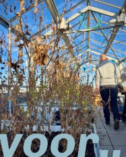 Zonnige dagen doen onze groene vingers kriebelen. Maar eerst werd het dringend tijd om de dakserre klaar te maken voor een nieuw seizoen.