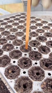 Ontspannen op grijze dagen lukt best goed in onze serre, met een streepje Prince op de achtergrond 🧘